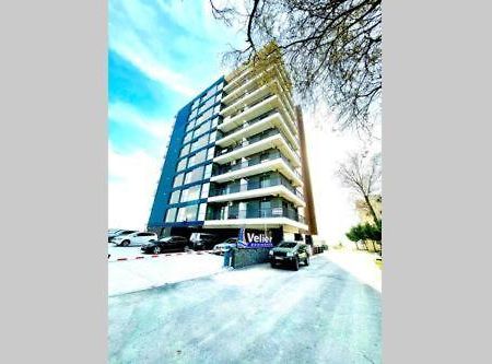 Studio Velier Mamaia Nord المظهر الخارجي الصورة